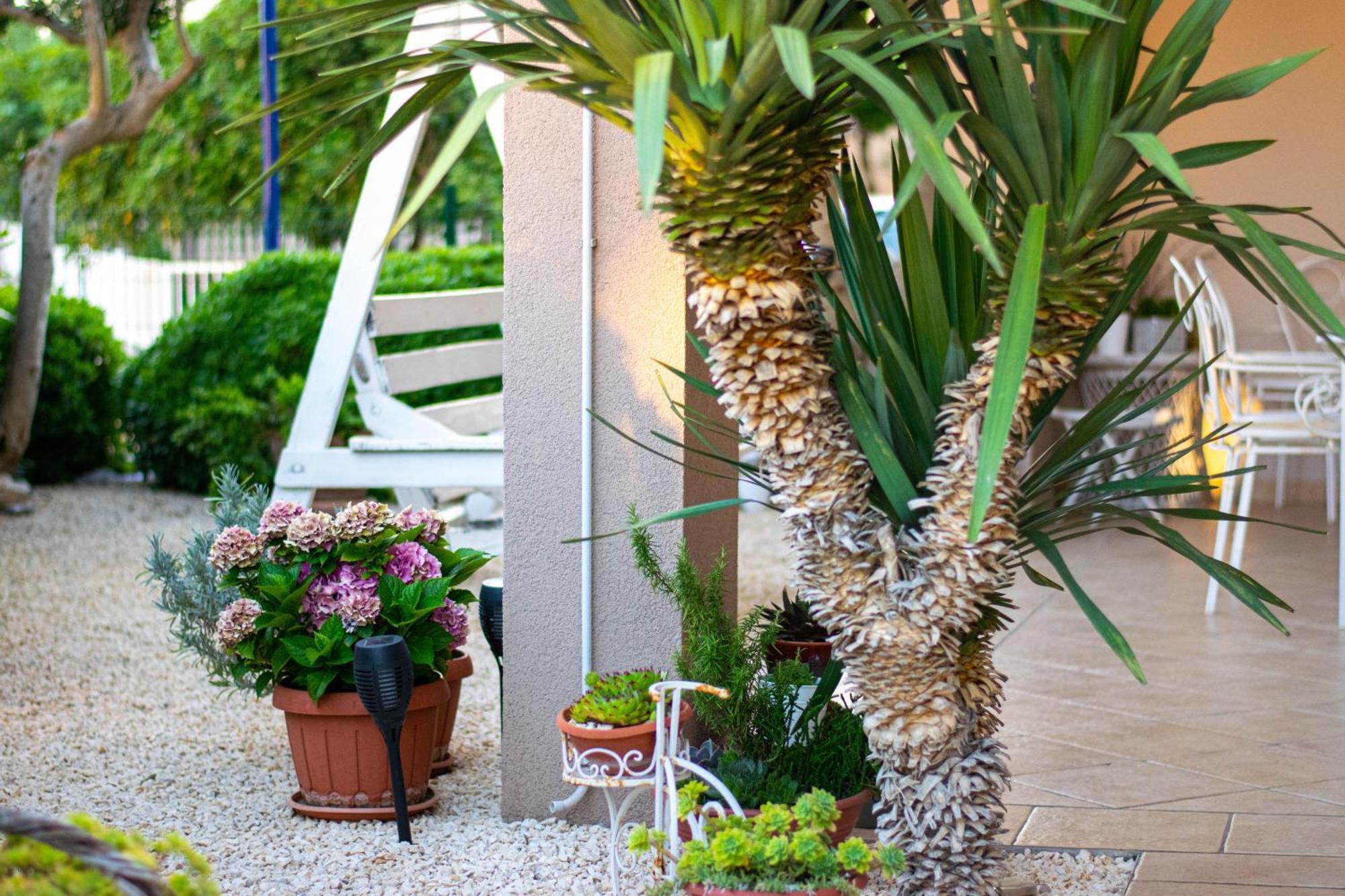 Apartments Anita Frane Βόντιτσε Εξωτερικό φωτογραφία