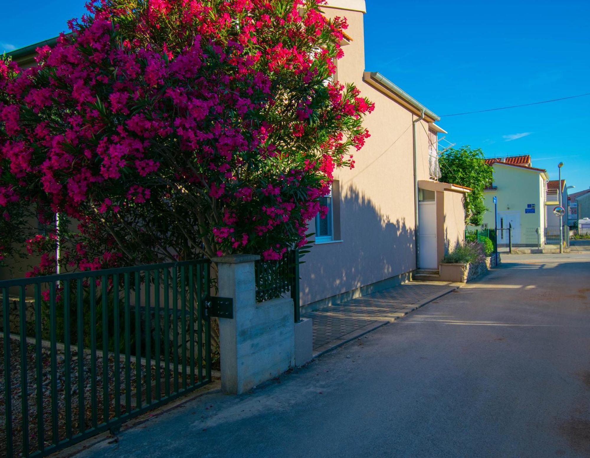 Apartments Anita Frane Βόντιτσε Εξωτερικό φωτογραφία