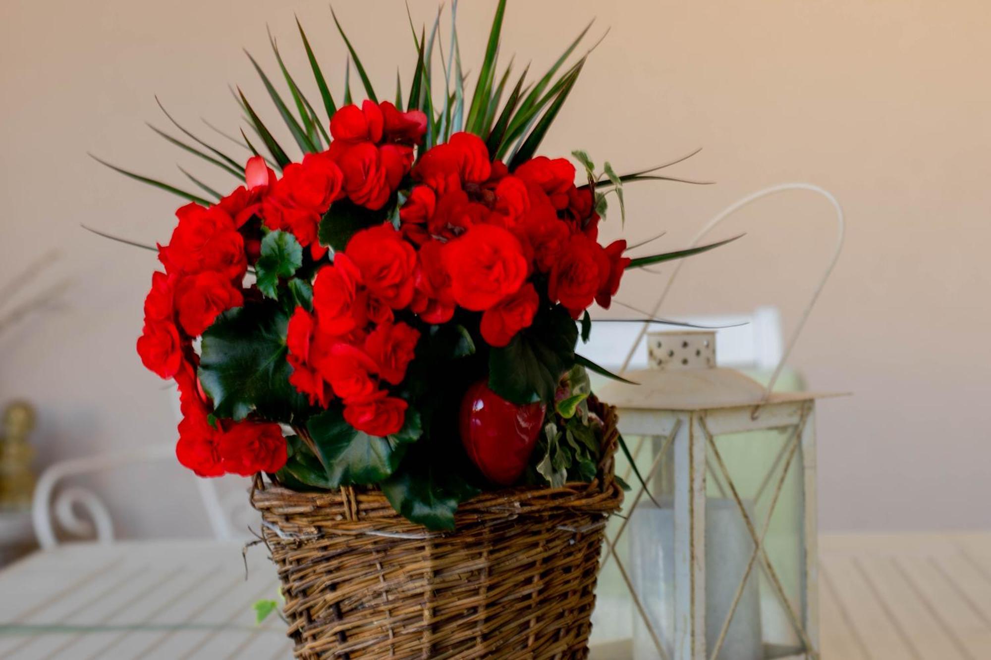 Apartments Anita Frane Βόντιτσε Εξωτερικό φωτογραφία